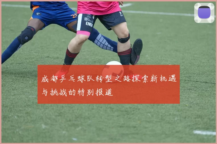 成都乒乓球队转型之路探索新机遇与挑战的特别报道
