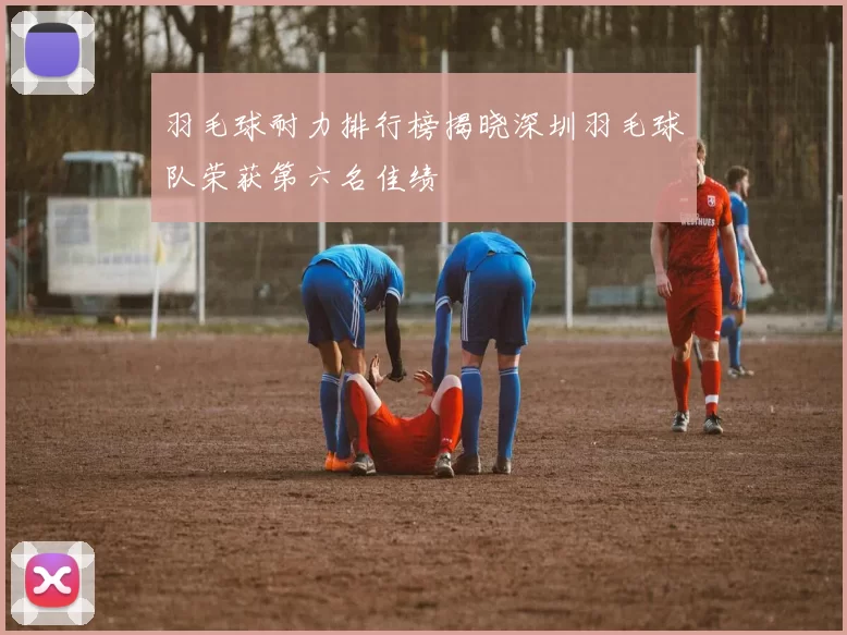 羽毛球耐力排行榜揭晓深圳羽毛球队荣获第六名佳绩