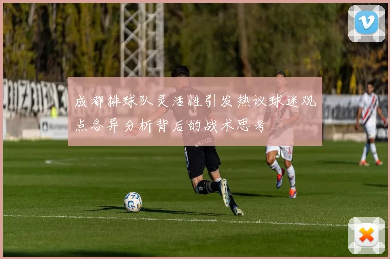 成都排球队灵活性引发热议球迷观点各异分析背后的战术思考