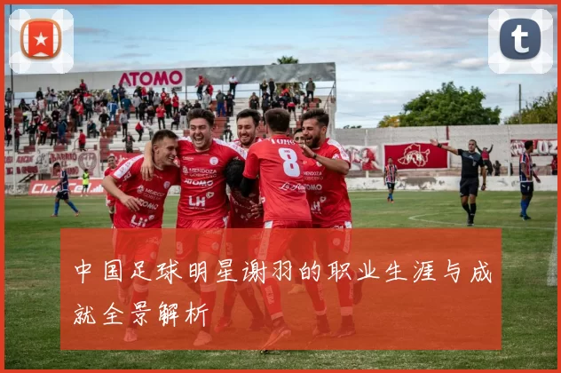 中国足球明星谢羽的职业生涯与成就全景解析