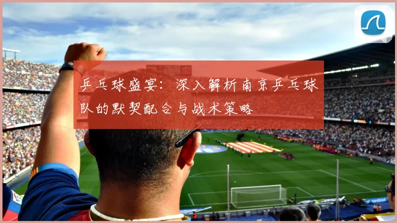 乒乓球盛宴：深入解析南京乒乓球队的默契配合与战术策略