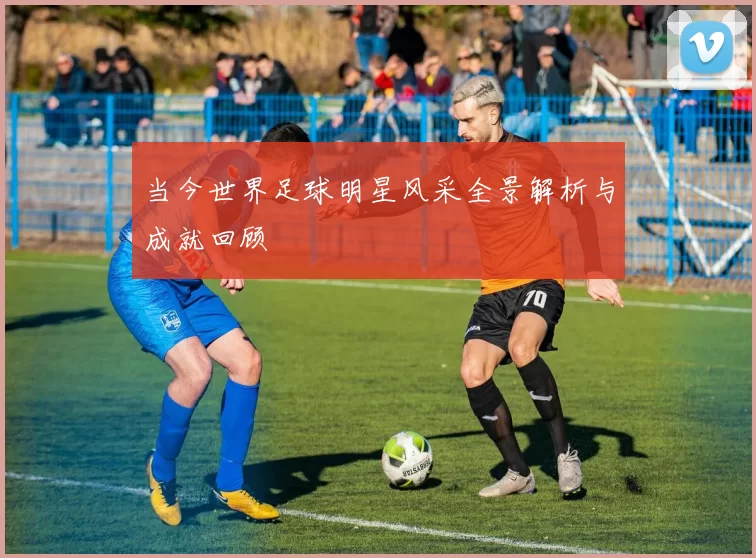 当今世界足球明星风采全景解析与成就回顾