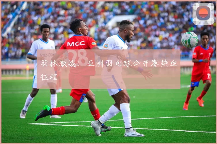 羽林激战：亚洲羽毛球公开赛热血征程