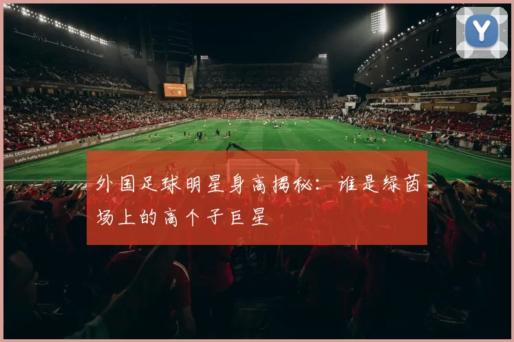 外国足球明星身高揭秘：谁是绿茵场上的高个子巨星