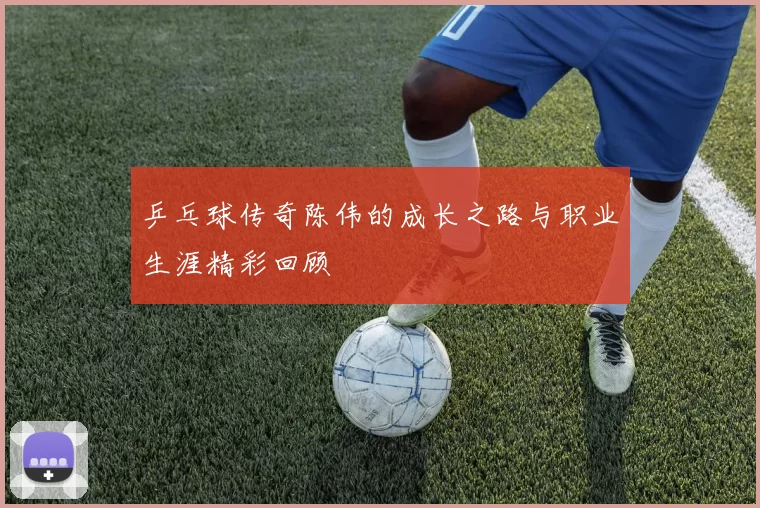 乒乓球传奇陈伟的成长之路与职业生涯精彩回顾
