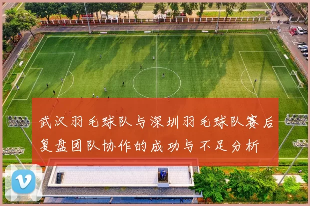 武汉羽毛球队与深圳羽毛球队赛后复盘团队协作的成功与不足分析