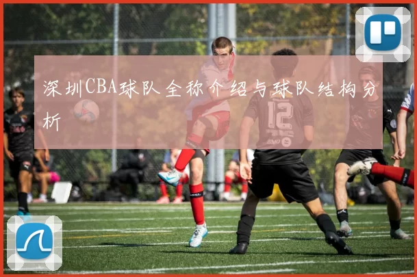 深圳CBA球队全称介绍与球队结构分析