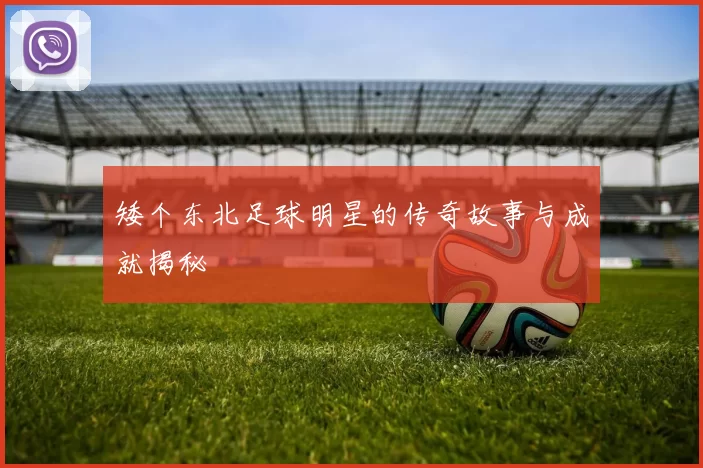 矮个东北足球明星的传奇故事与成就揭秘