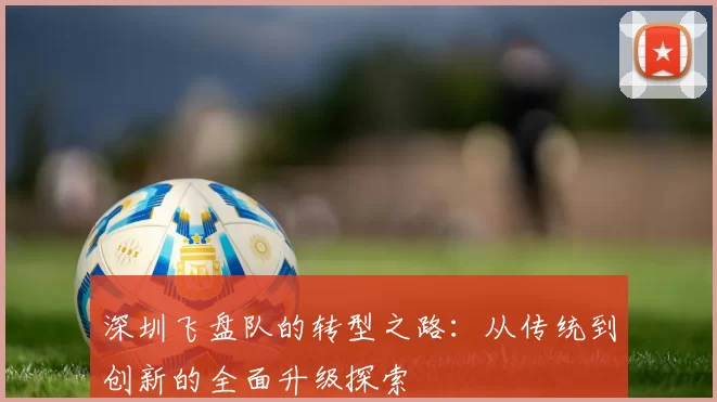 深圳飞盘队的转型之路：从传统到创新的全面升级探索