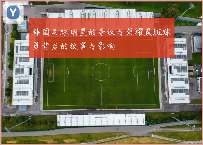 韩国足球明星的争议与荣耀最脏球员背后的故事与影响