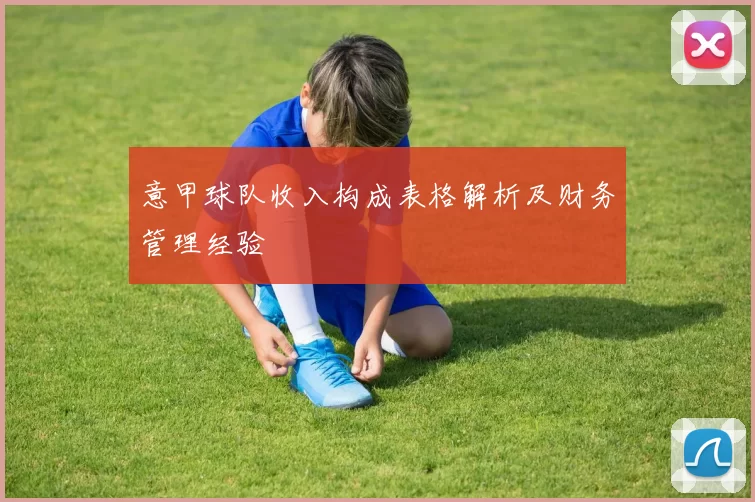 意甲球队收入构成表格解析及财务管理经验