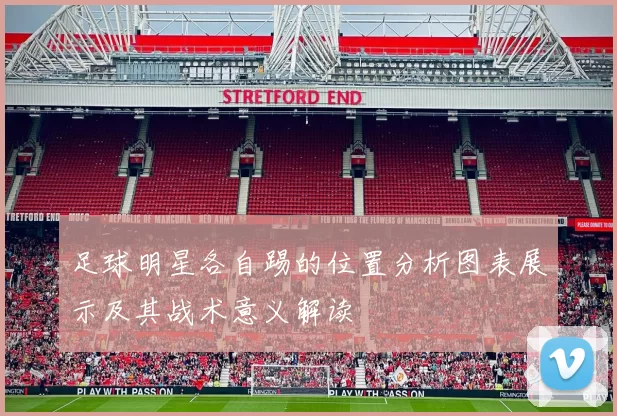 足球明星各自踢的位置分析图表展示及其战术意义解读
