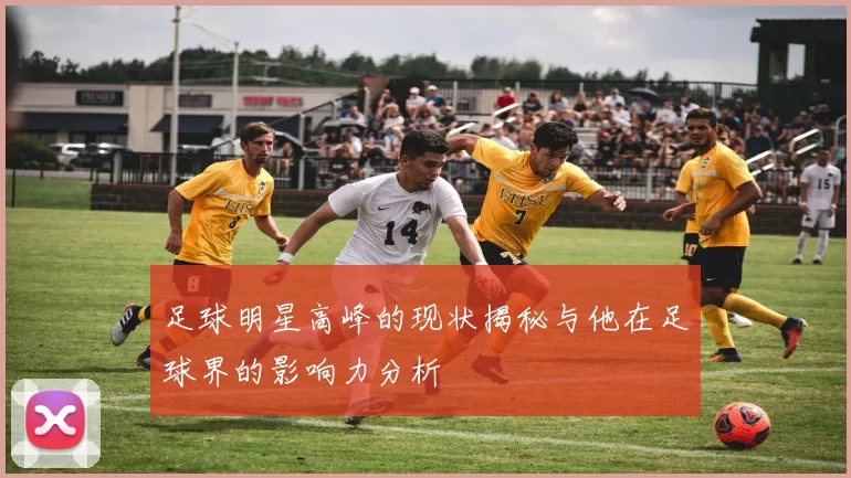 足球明星高峰的现状揭秘与他在足球界的影响力分析