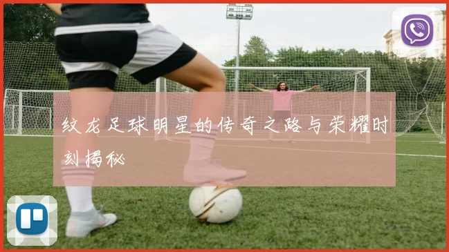 纹龙足球明星的传奇之路与荣耀时刻揭秘