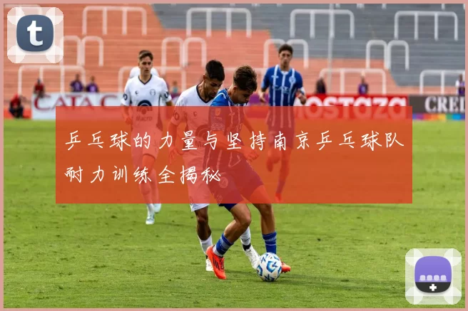 乒乓球的力量与坚持南京乒乓球队耐力训练全揭秘