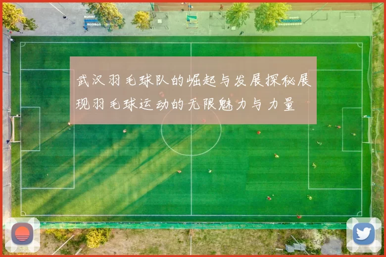 武汉羽毛球队的崛起与发展探秘展现羽毛球运动的无限魅力与力量