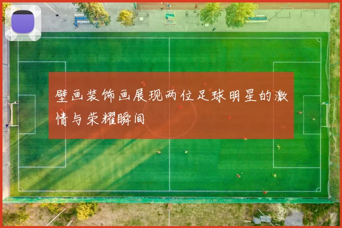 壁画装饰画展现两位足球明星的激情与荣耀瞬间