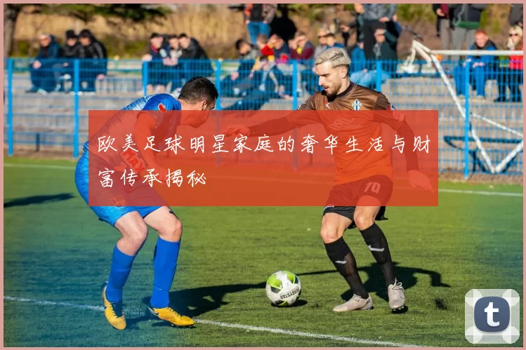 欧美足球明星家庭的奢华生活与财富传承揭秘