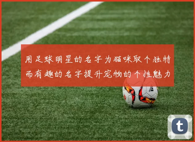 用足球明星的名字为猫咪取个独特而有趣的名字提升宠物的个性魅力