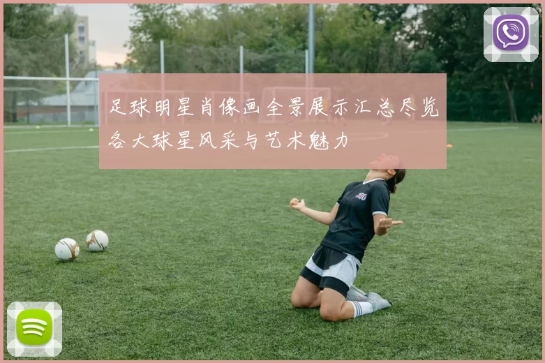 足球明星肖像画全景展示汇总尽览各大球星风采与艺术魅力