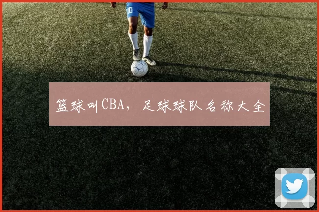 篮球叫CBA，足球球队名称大全