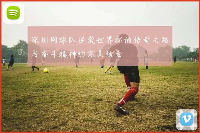深圳网球队逆袭世界杯的传奇之路与奋斗精神的完美结合