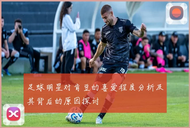 足球明星对肯豆的喜爱程度分析及其背后的原因探讨