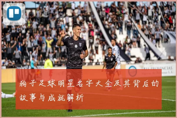 狗子足球明星名字大全及其背后的故事与成就解析